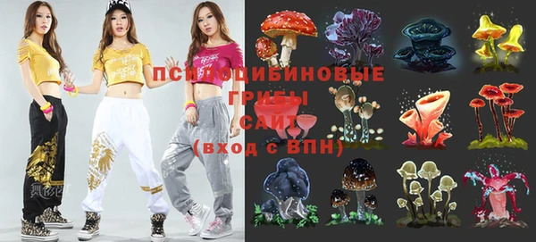 кокс Алзамай